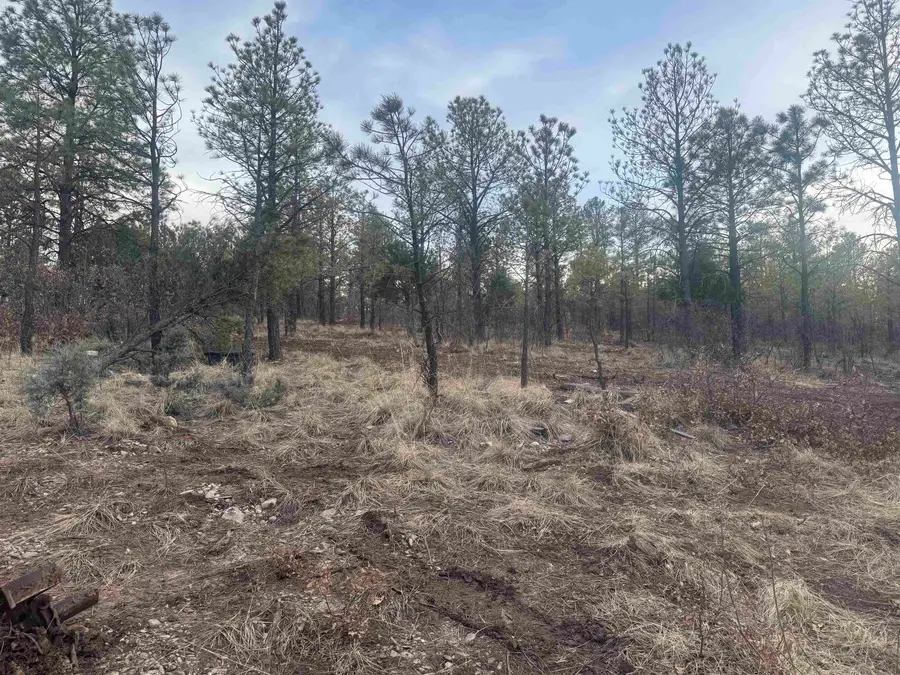 Cibola DR, Timberon, NM 88350-0000 - #2