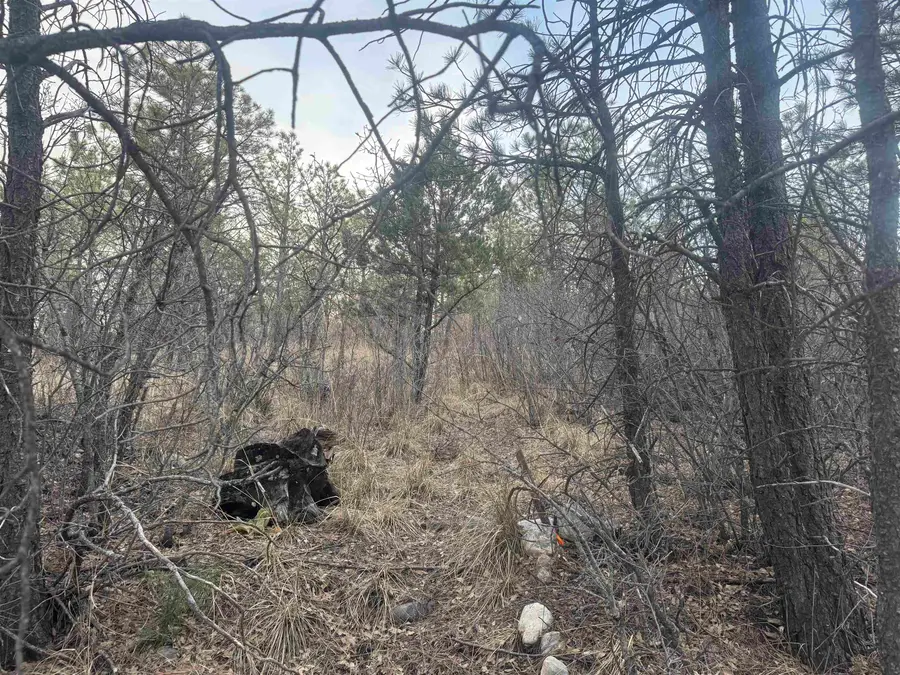 Cibola DR, Timberon, NM 88350-0000 - #3