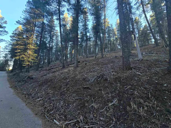 Juniper, Mayhill, NM 88339