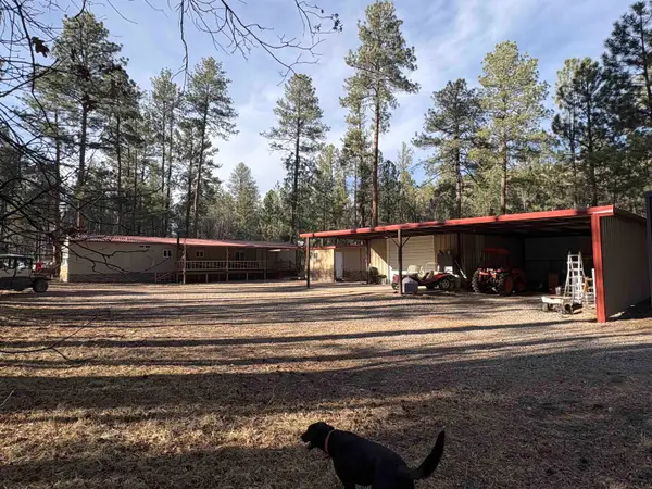 510 Walker Canyon Rd, Mayhill, NM 88339