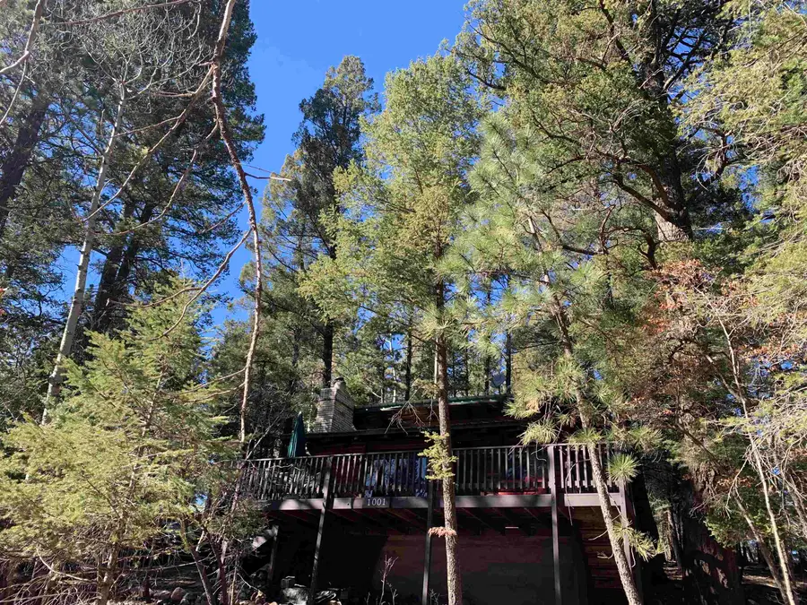 1001 Ponderosa Pl, Cloudcroft, NM 88317 - #3