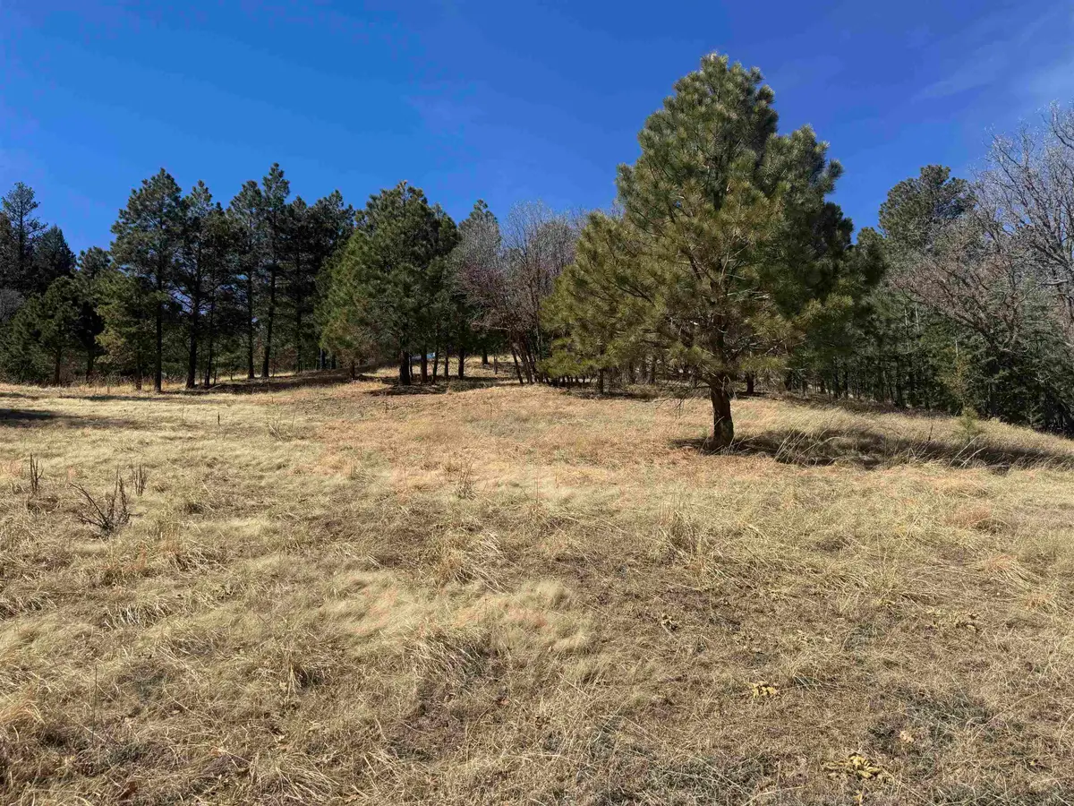 Trading Post Rd, Cloudcroft, NM 88317-0000 - #1