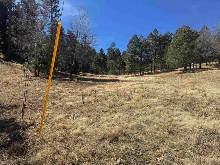 Trading Post Rd, Cloudcroft, NM 88317-0000 - #2
