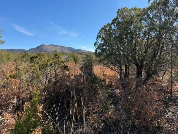 Milton Ct, Timberon, NM 88350