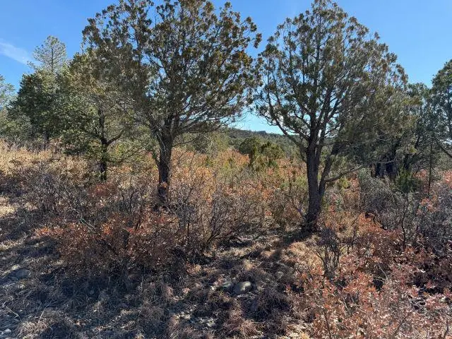 Milton Ct, Timberon, NM 88350 - #2