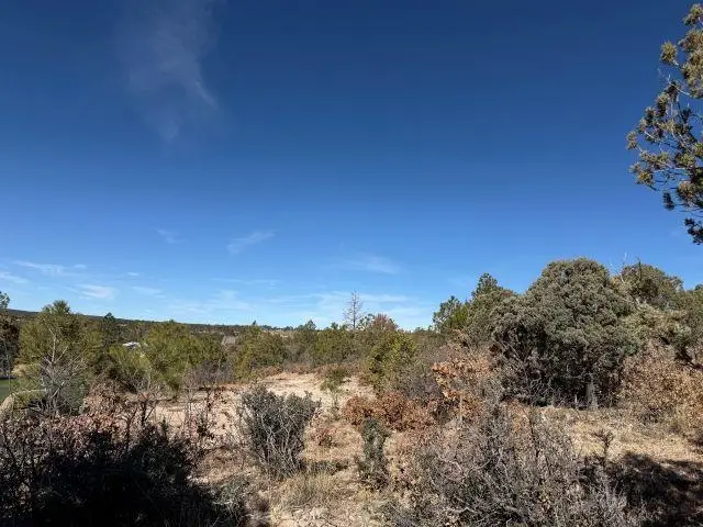 Milton Ct, Timberon, NM 88350 - #3