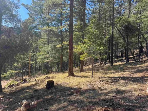 90 Black Forest DR, Cloudcroft, NM 88317-0000