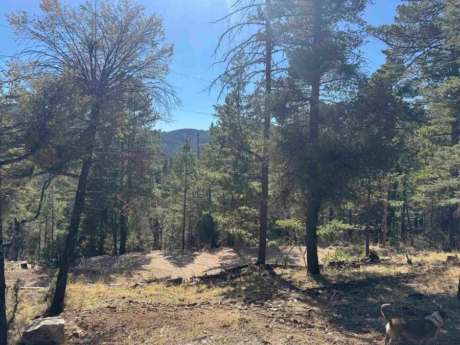 90 Black Forest DR, Cloudcroft, NM 88317-0000 - #2