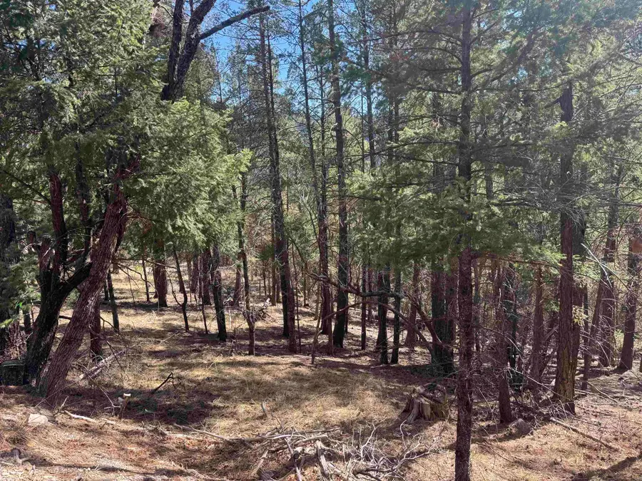 90 Black Forest DR, Cloudcroft, NM 88317-0000 - #3