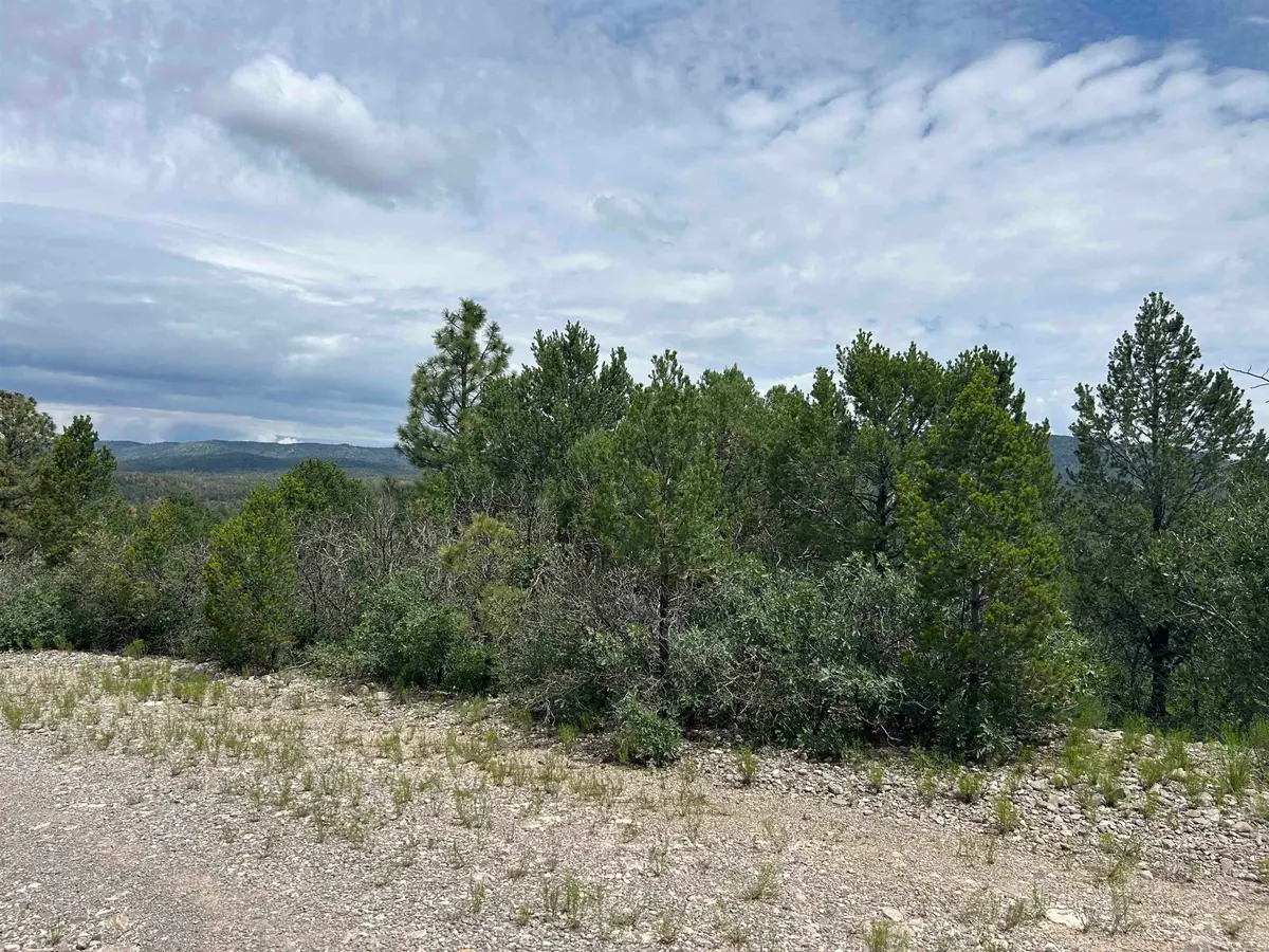27 Chresta Loma DR, Timberon, NM 88350 - #1