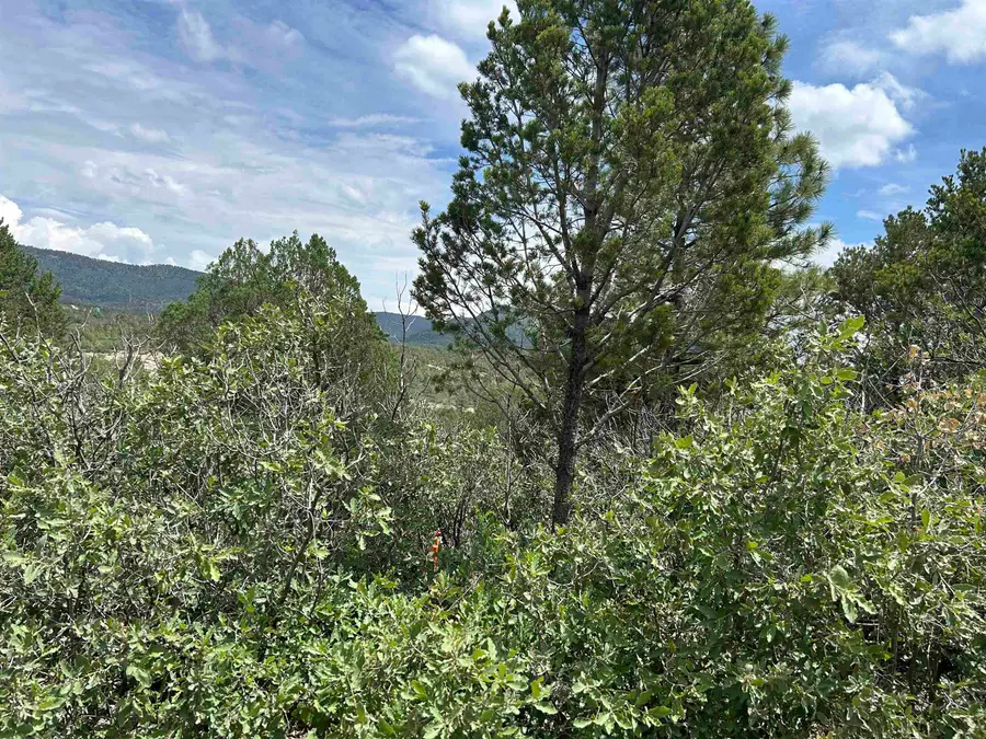 27 Chresta Loma DR, Timberon, NM 88350 - #3