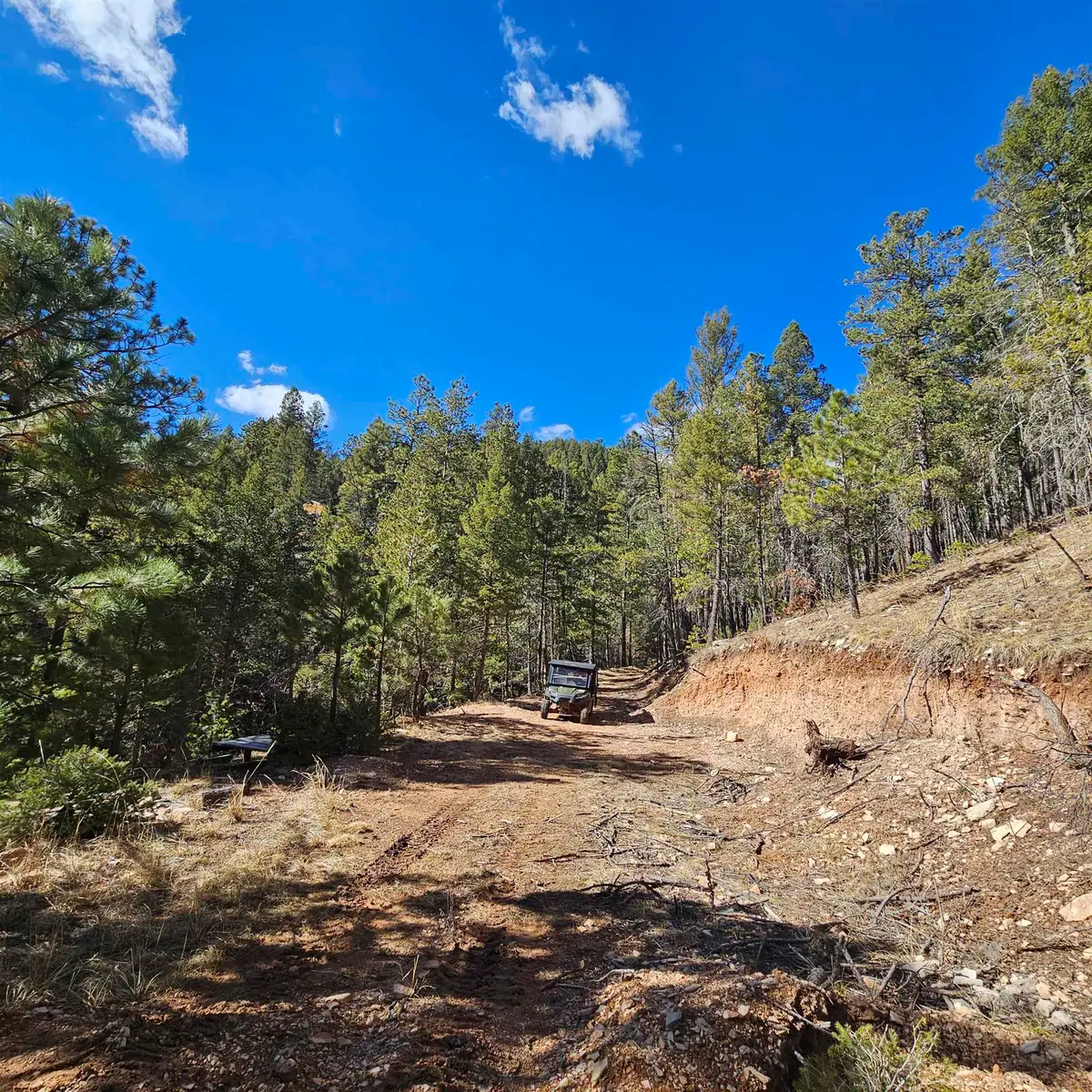 230A Dark Canyon RD, Cloudcroft, NM 88317-0000 - #1