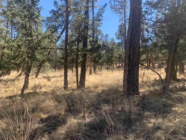 LT33 Dixwood DR, Timberon, NM 88350
