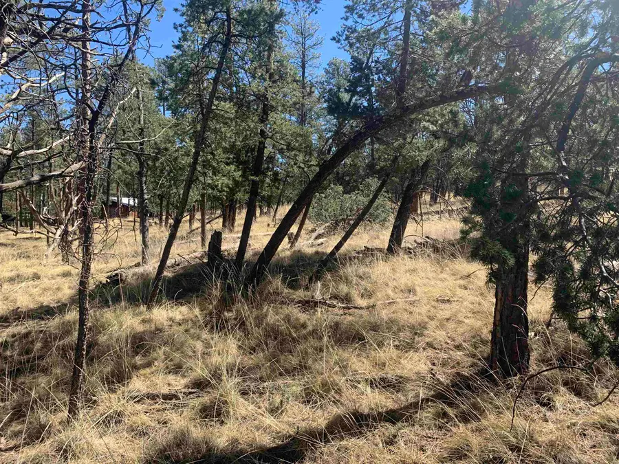 LT33 Dixwood DR, Timberon, NM 88350 - #2