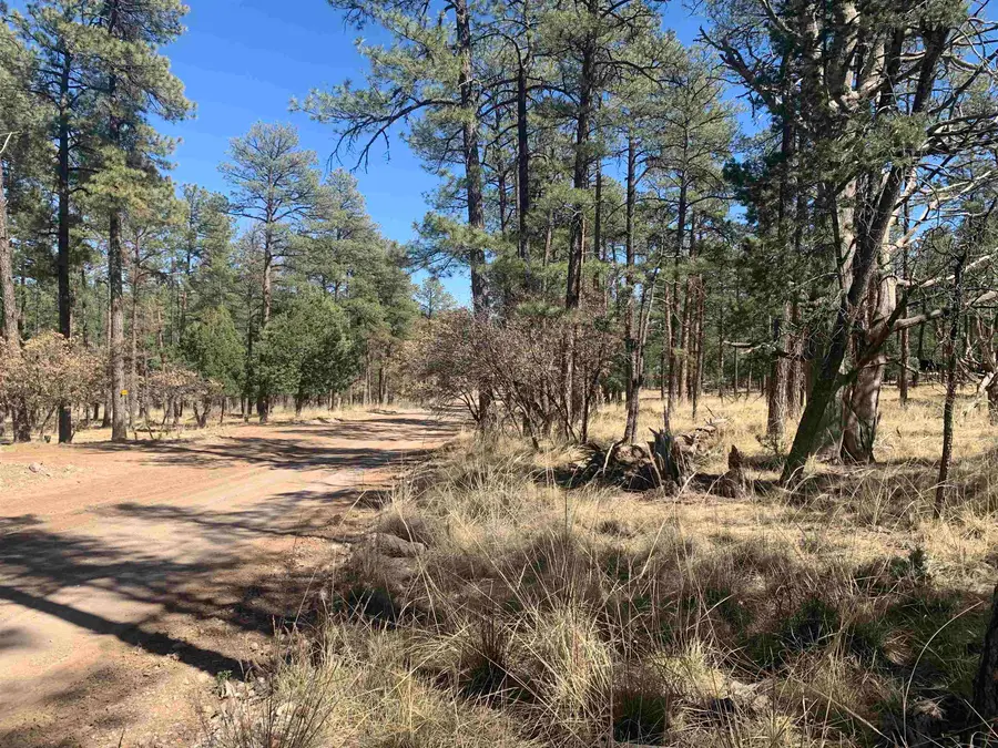 LT33 Dixwood DR, Timberon, NM 88350 - #3