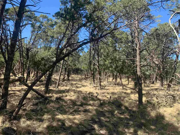 Lt44 Norwood Dr, Timberon, NM 88350