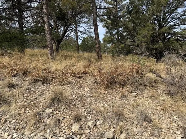 Pleasant Valley Dr, Timberon, NM 88350