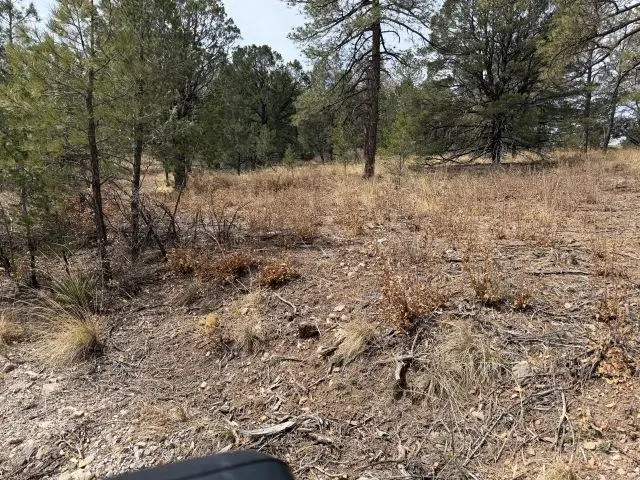 Pleasant Valley Dr, Timberon, NM 88350 - #3