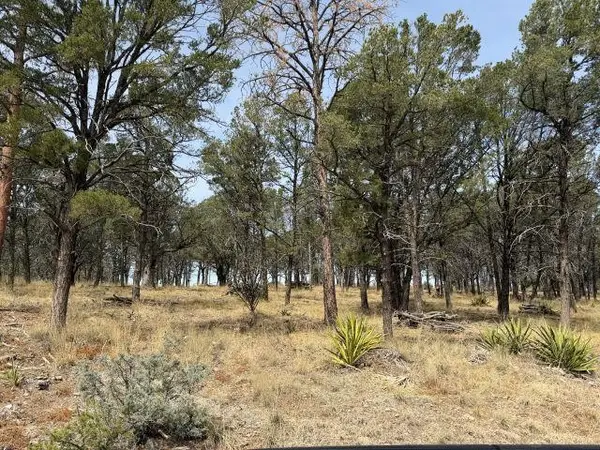 49 Eldrado Dr, Timberon, NM 88350