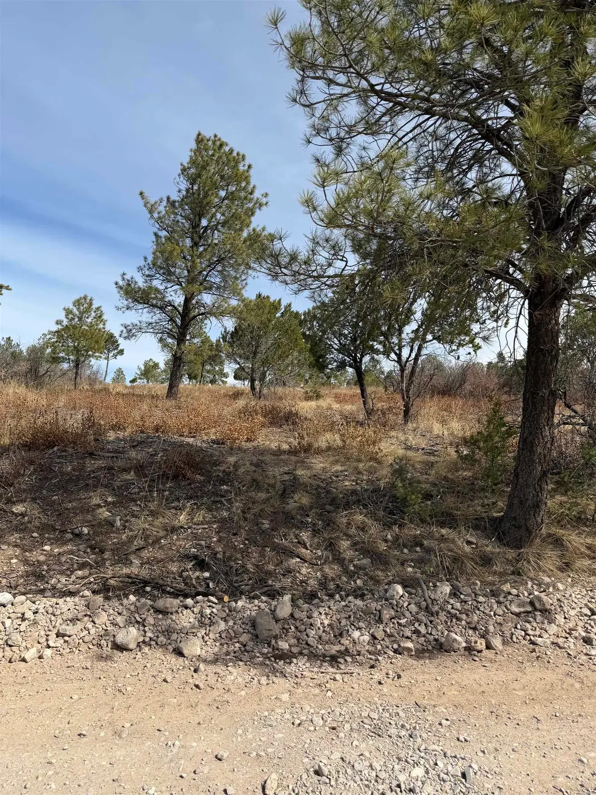127 Eldrado Dr, Timberon, NM 88350 - #1