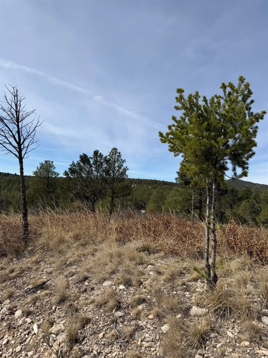 127 Eldrado Dr, Timberon, NM 88350 - #2