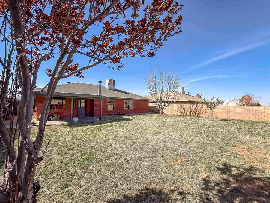 1101 Mimosa AVE, Alamogordo, NM 88310 - #2