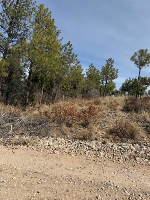 139 Eldrado Dr, Timberon, NM 88350
