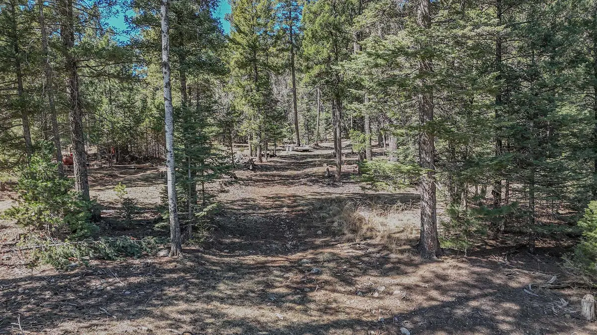 0 Evergreen Ln, Cloudcroft, NM 88317 - #1