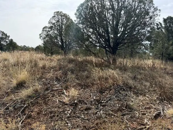 65 Lakewood Dr, Timberon, NM 88350