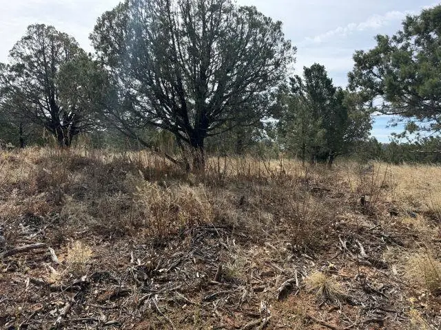 65 Lakewood Dr, Timberon, NM 88350 - #2