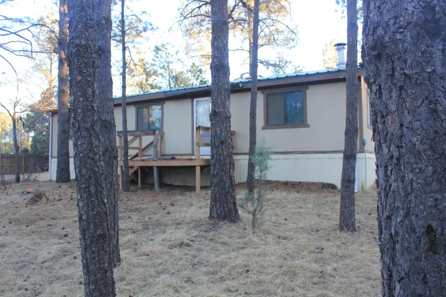 188 Riverside Rd, Timberon, NM 88350 - #3
