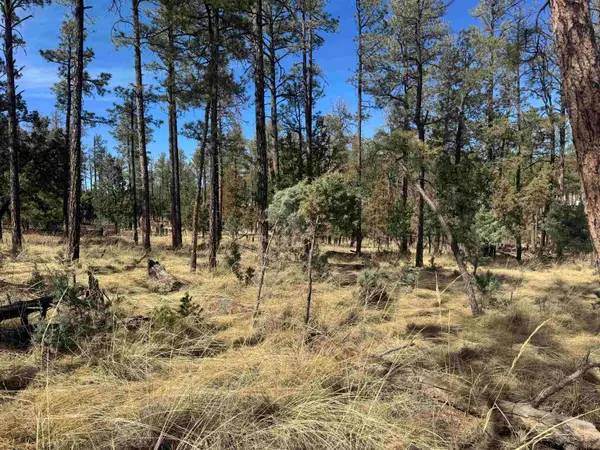 Paradise Valley Dr, Timberon, NM 88350-0000