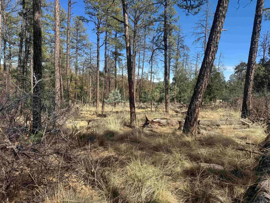 Paradise Valley Dr, Timberon, NM 88350-0000 - #2