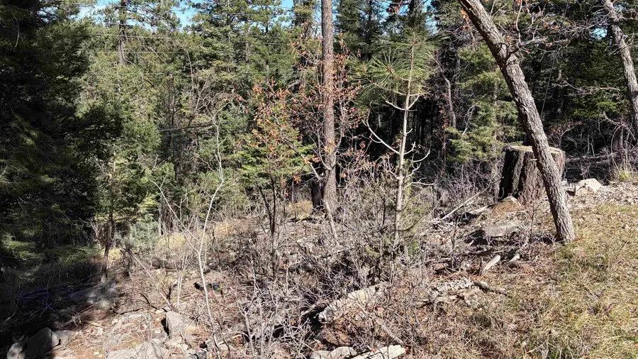 819-823 Curlew Pl, Cloudcroft, NM 88317 - #2