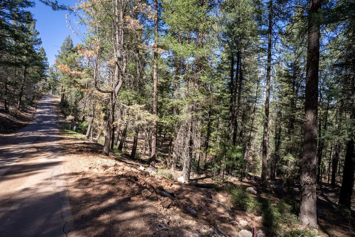 14 Aspen, Mayhill, NM 88339 - #1