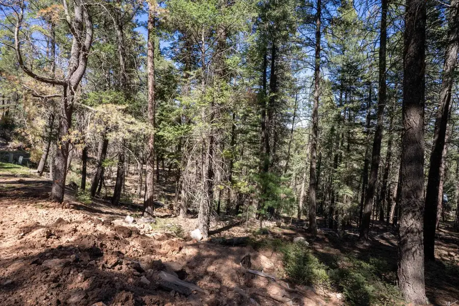 14 Aspen, Mayhill, NM 88339 - #2