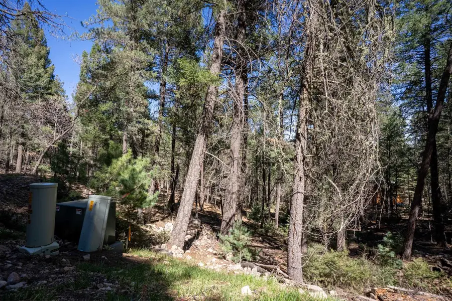 14 Aspen, Mayhill, NM 88339 - #3