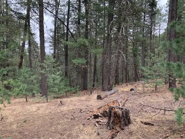 48 Cowan Rd, Mayhill, NM 88339