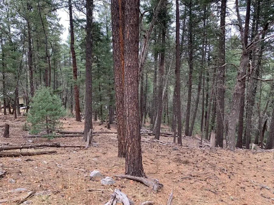 48 Cowan Rd, Mayhill, NM 88339 - #3