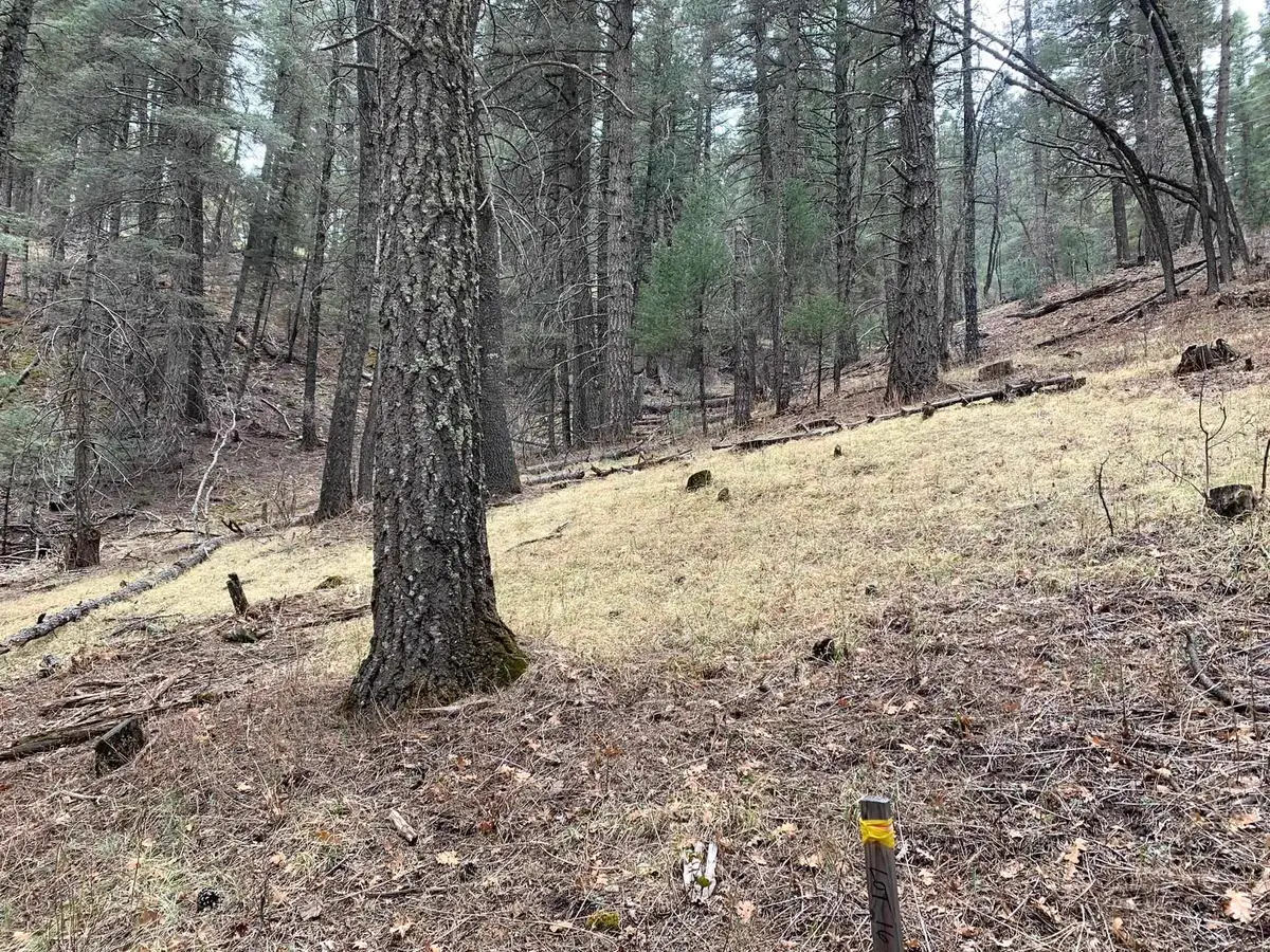 000 Ponderosa Pines Trl, Cloudcroft, NM 88317 - #1