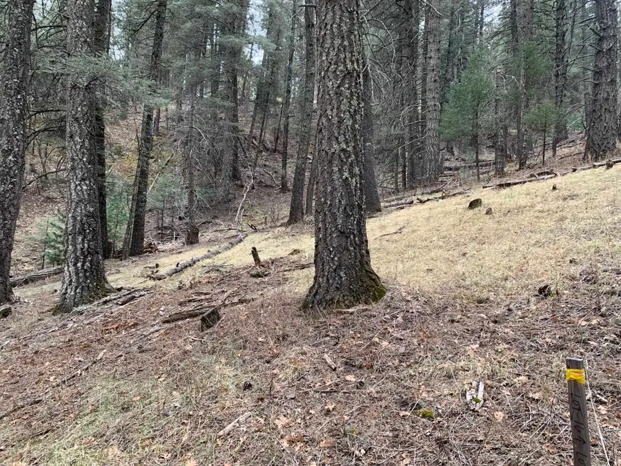 000 Ponderosa Pines Trl, Cloudcroft, NM 88317 - #2