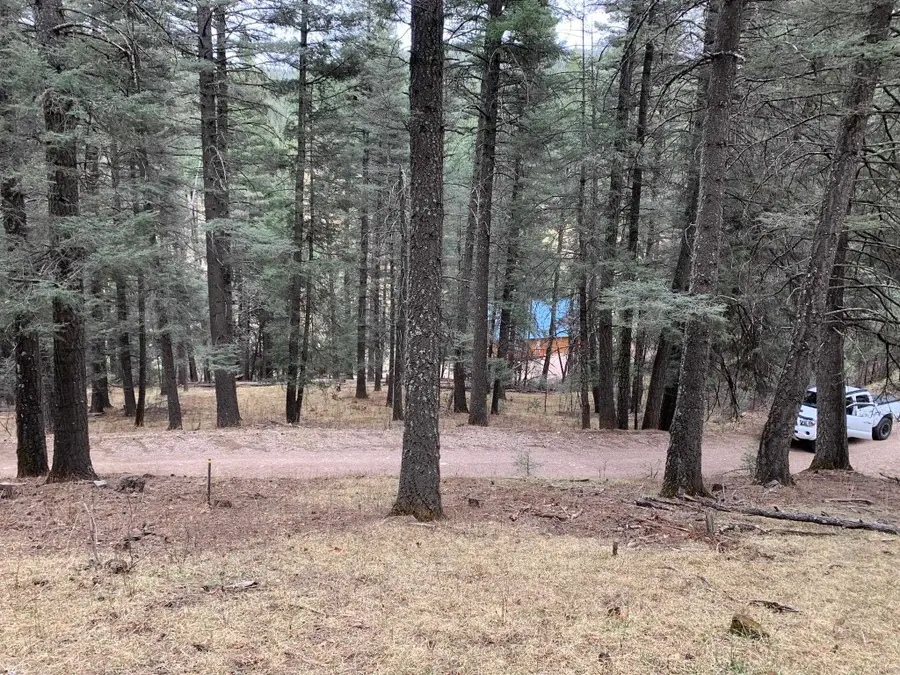 000 Ponderosa Pines Trl, Cloudcroft, NM 88317 - #3