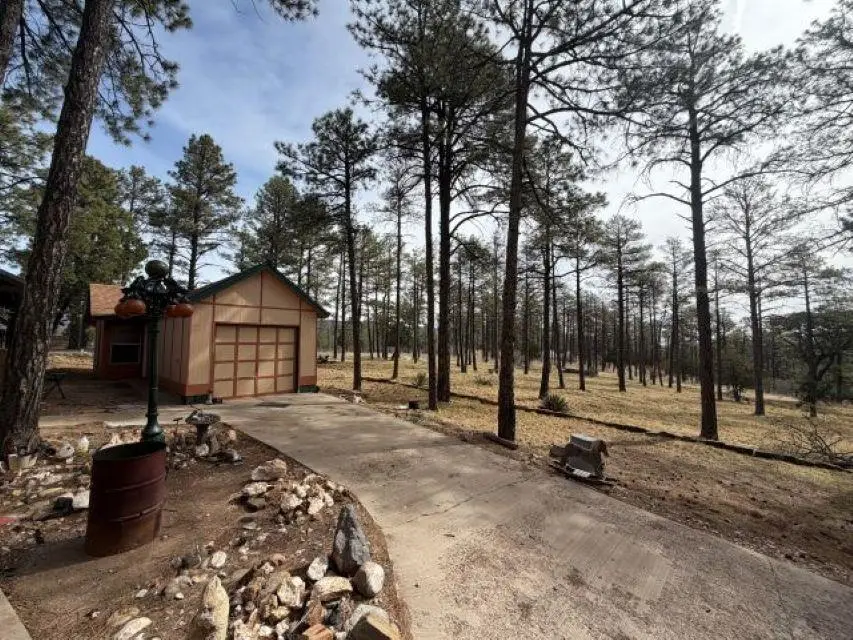 245 Carson DR, Timberon, NM 88350 - #3