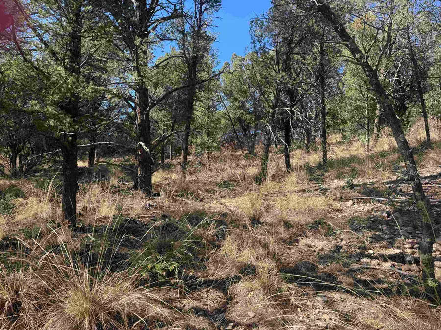 Mackerel Dr, Timberon, NM 88350-0000 - #2