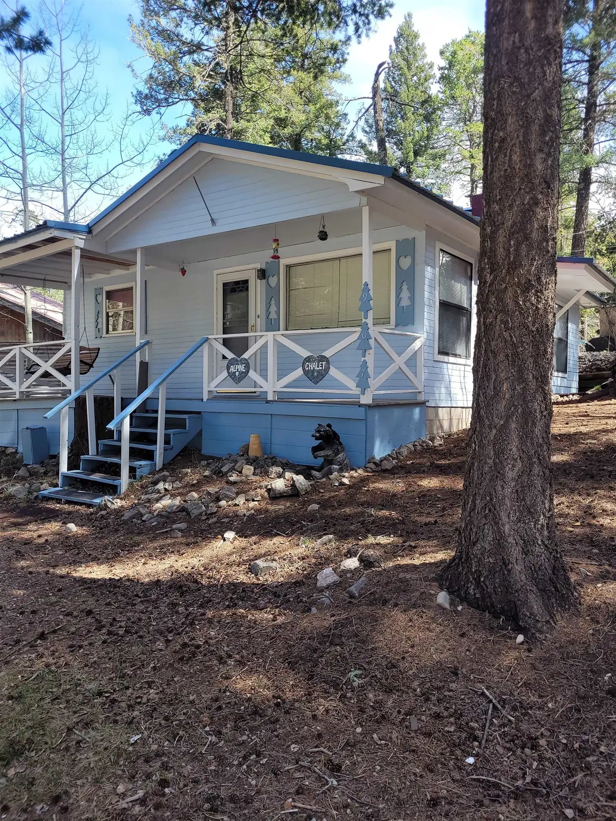 905 Chautauqua Canyon Blvd, Cloudcroft, NM 88317-9999 - #1