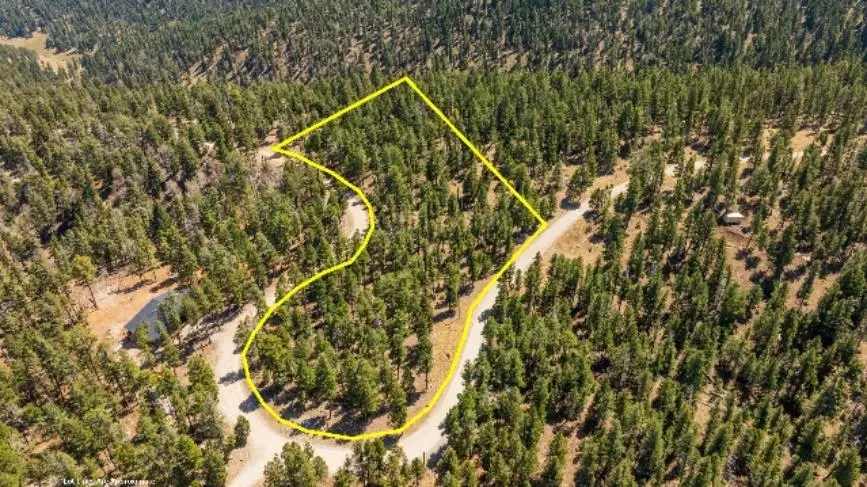 Lot 15 Big Dipper RD, Cloudcroft, NM 88317-0000 - #1