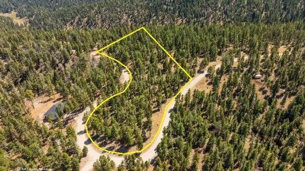 Lot 15 Big Dipper RD, Cloudcroft, NM 88317-0000