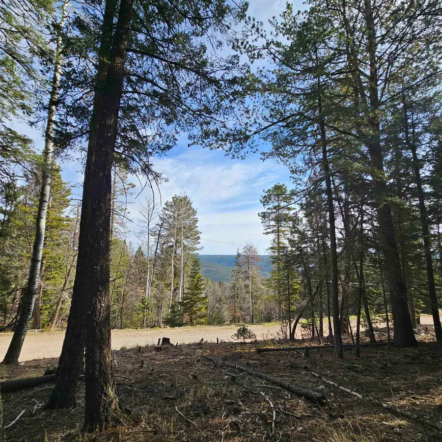 Lot 15 Big Dipper RD, Cloudcroft, NM 88317-0000 - #2