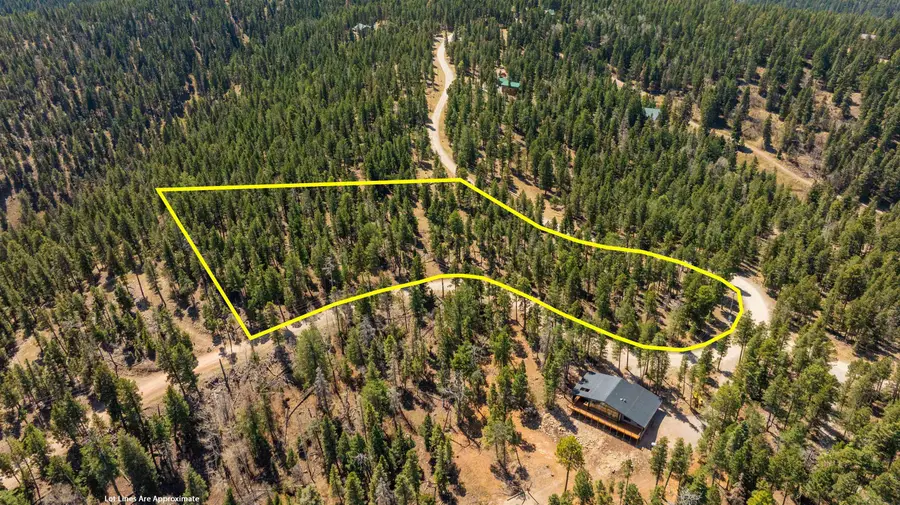 Lot 15 Big Dipper RD, Cloudcroft, NM 88317-0000 - #3