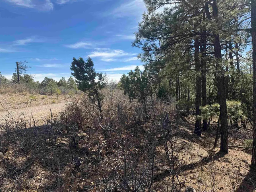 4 Trinidad Ave, Timberon, NM 88350-0000 - #2